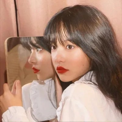 燕子与鹦鹉